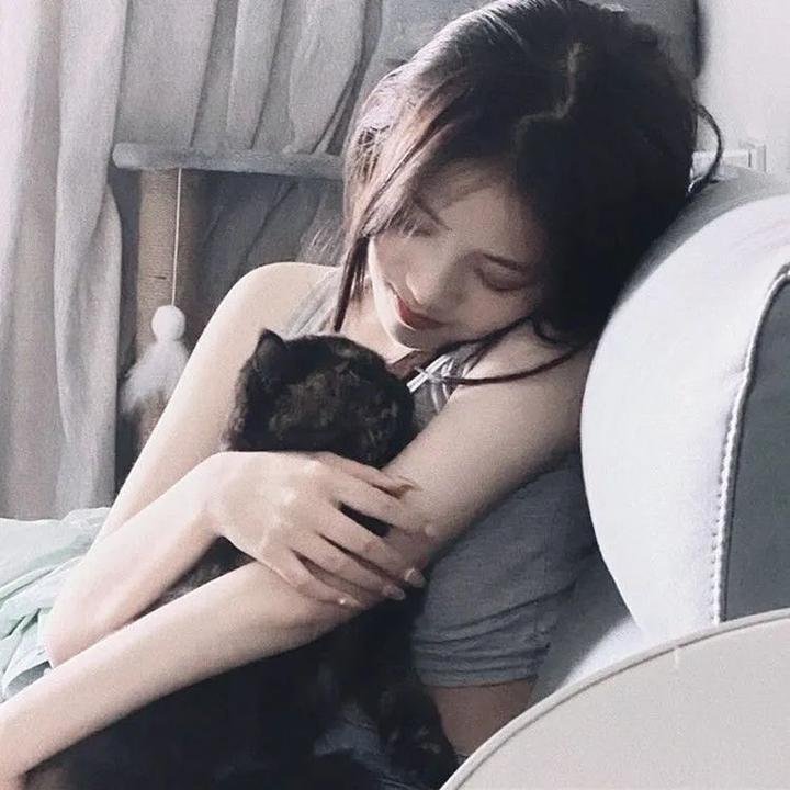 森林：随处可见